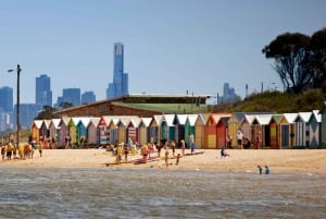 Oppdag Melbourne: En halvdags guidet byopplevelse