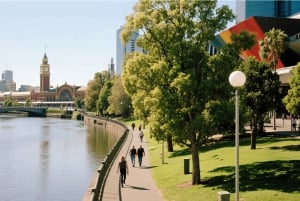 Melbourne Great Ocean Road Benz Small-Group & Coach Tour
