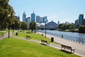 Melbourne Great Ocean Road Benz Small-Group & Coach Tour