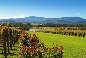 Experimenta el Valle del Yarra: Un viaje enológico privado a medida