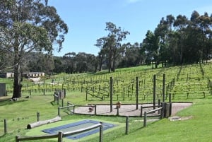 Déjeuner familial et Aigle du siège d'Arthurs pour 2 adultes et 2 enfants