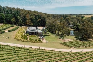 Farm Picnic for 2 adults