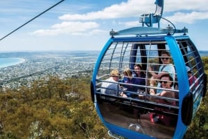 Farmer's Lunch and Arthurs Seat Eagle Cable Car Ride - For 2