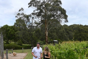 Farmers Lunch - Food and Wine for 2