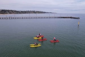 Frankston: Port Phillip Bay Water Bike Tour