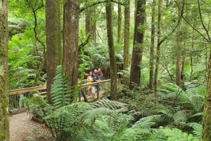 From Adelaide: 3-Day Trip to Melbourne with Wine Tasting