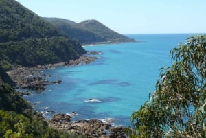 From Adelaide: 3-Day Trip to Melbourne with Wine Tasting