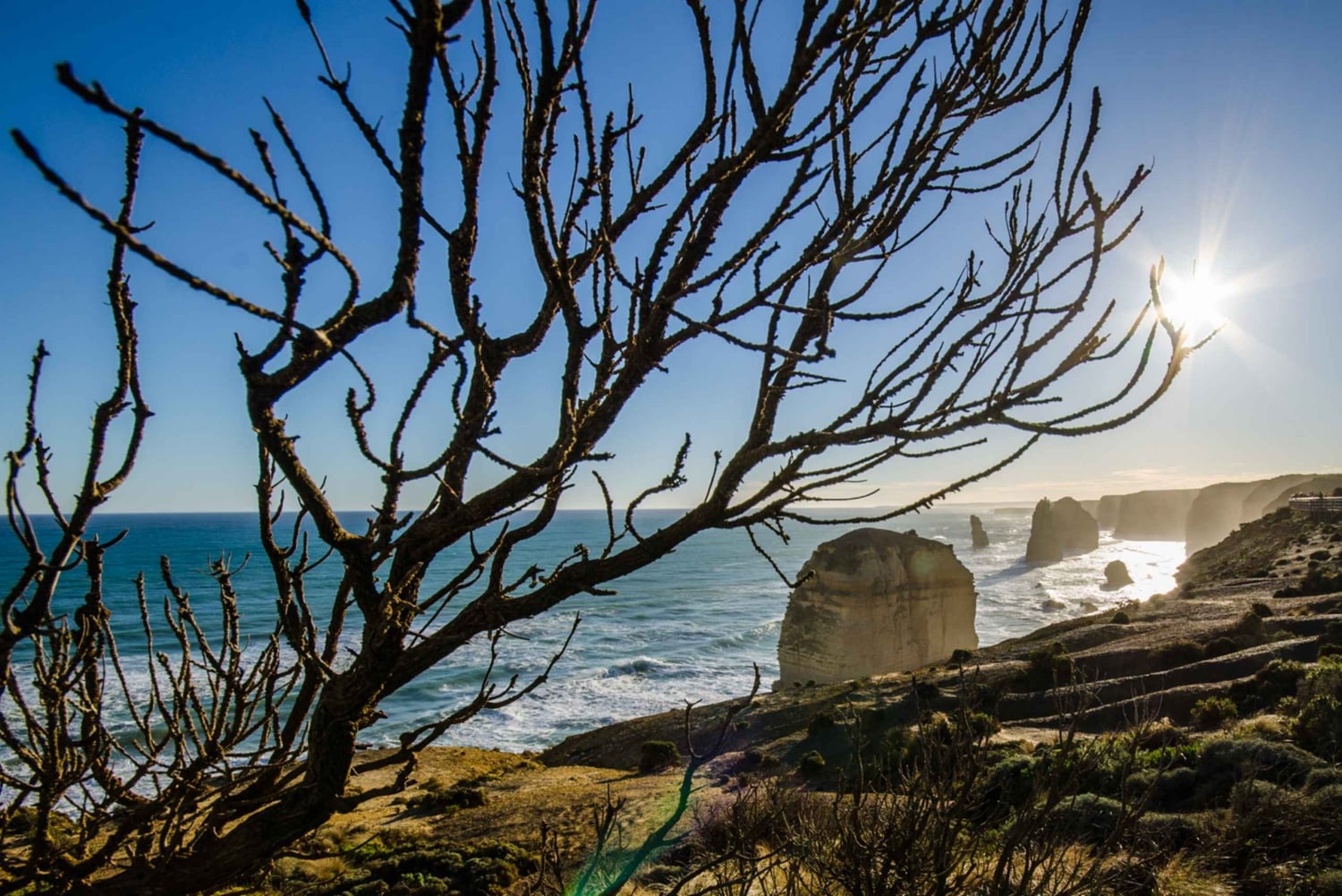 Da Melbourne: 2 giorni di Great Ocean Road e Grampians