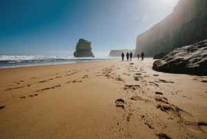 Da Melbourne: 2 giorni di Great Ocean Road e Grampians