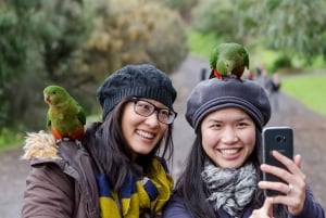 From Melbourne: 3-Day Great Ocean Road Grampians Tour