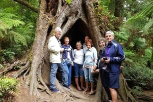 From Melbourne: 3-Day Great Ocean Road Tour with Lodging