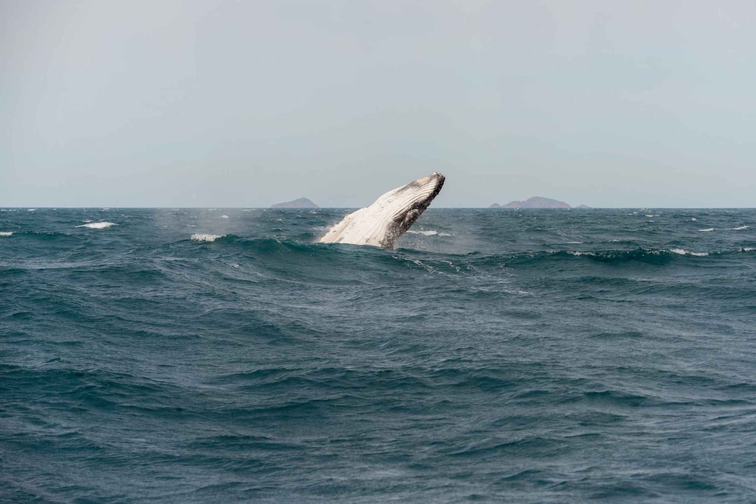 From Melbourne: 5-Day Victorian Alps & Gippsland Lakes Trip