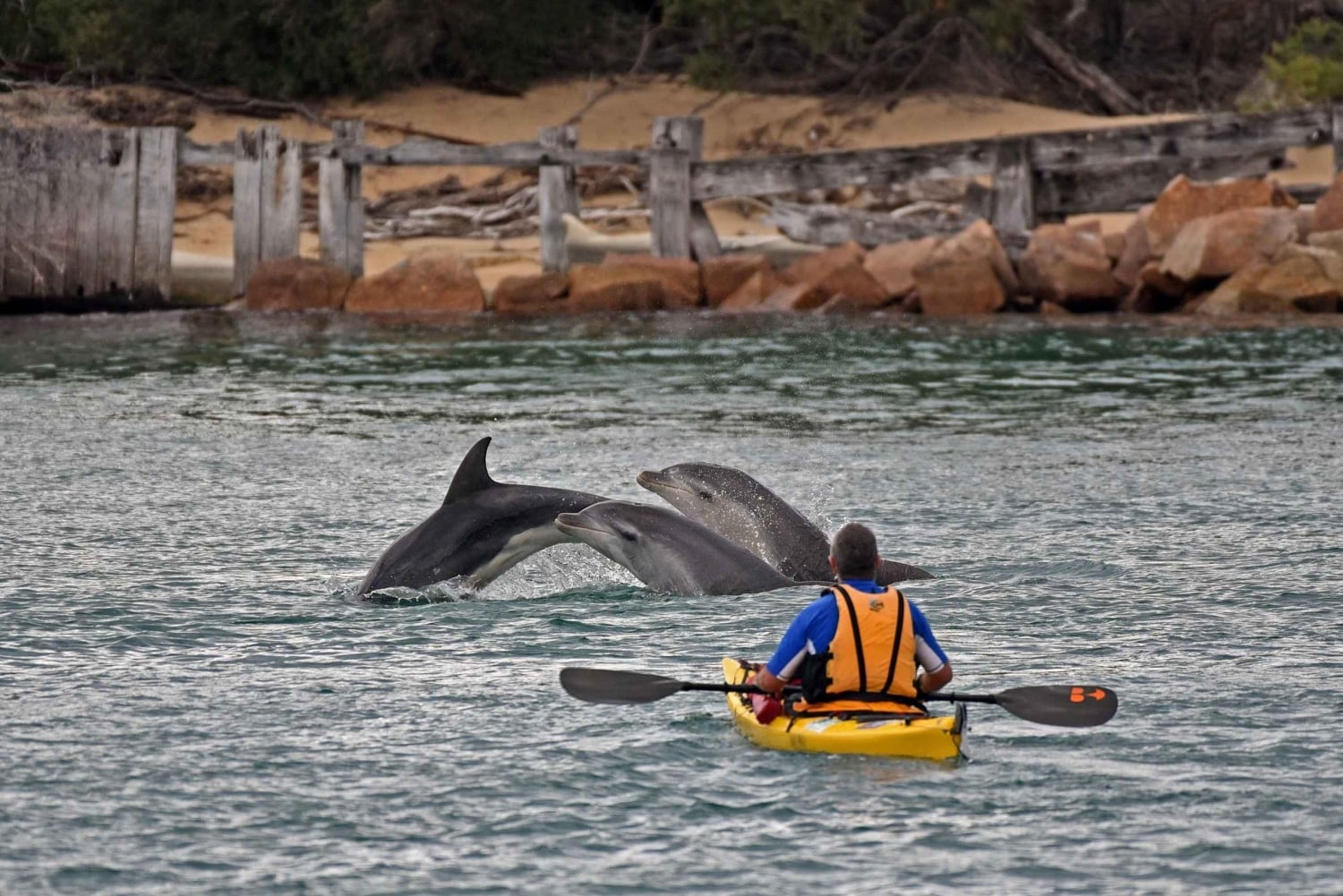 From Melbourne: 5-Day Victorian Alps & Gippsland Lakes Trip