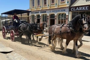 Melbourne: Private Ballarat & Sovereign Hill Gold Mine Tours