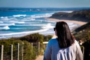 From Melbourne: Bay Sightseeing and Ferry Ride with Lunch