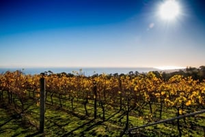 From Melbourne: Bellarine Peninsula Food & Wine Taste Trail