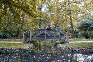 Z Melbourne: prywatna wycieczka do pasma górskiego Dandenong Ranges