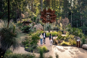 Z Melbourne: prywatna wycieczka do pasma górskiego Dandenong Ranges