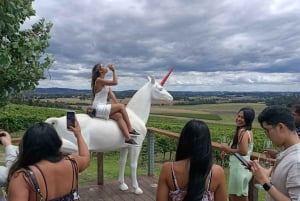 Melbourne: Yarra Valley Wine, Gin, and Chocolate Tour