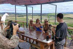 Melbourne: Yarra Valley Wine, Gin, and Chocolate Tour