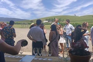 Melbourne: Yarra Valley Wine, Gin, and Chocolate Tour