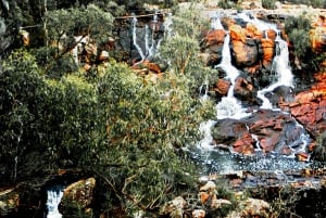 Melbourne: Private Grampians National Park Day Tours