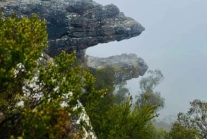 Melbourne: Private Grampians National Park Day Tours