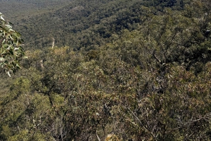 Melbourne: Private Grampians National Park Day Tours