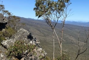 Melbourne: Private Grampians National Park Day Tours