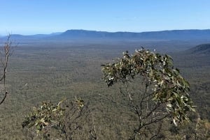 Melbourne: Private Grampians National Park Day Tours