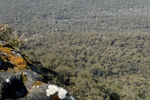 Melbourne: Private Grampians National Park Day Tours