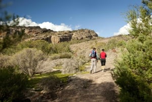 Z Melbourne: wycieczka z przewodnikiem do Parku Narodowego Grampians i spotkanie z kangurami