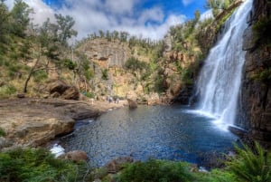 From Melbourne: Grampians National Park & Kangaroos