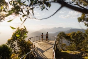 From Melbourne: Grampians National Park & Kangaroos