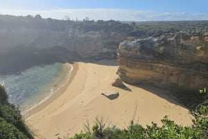 Fra Melbourne: Great Ocean Road, dingos, musserende vin og lunsj
