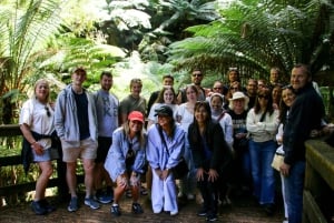 From Melbourne: Great Ocean Road & 12 Apostles Full-Day Tour