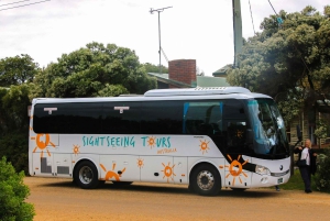 From Melbourne: Great Ocean Road & 12 Apostles Full-Day Tour