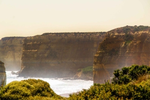 From Melbourne: Great Ocean Road & 12 Apostles Full-Day Tour