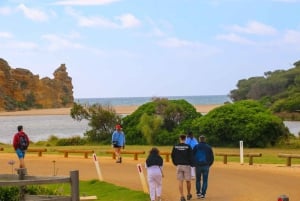 From Melbourne: Great Ocean Road & 12 Apostles Full-Day Tour