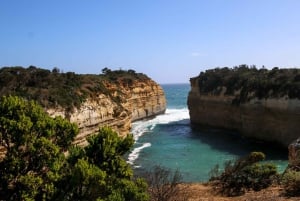 From Melbourne: Great Ocean Road & 12 Apostles Full-Day Tour