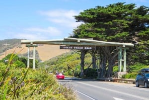 From Melbourne: Great Ocean Road & 12 Apostles Full-Day Tour