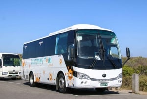 From Melbourne: Great Ocean Road & 12 Apostles Full-Day Tour