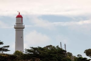 From Melbourne: Great Ocean Road & 12 Apostles Full-Day Tour