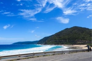From Melbourne: Great Ocean Road & 12 Apostles Full-Day Tour