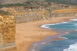 From Melbourne: Great Ocean Road & 12 Apostles Full-Day Tour