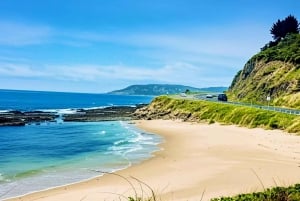 Melbourne: Great Ocean Road & 12 Apostles Luxury Coach Tour