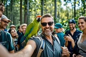 Melbourne: Great Ocean Road & 12 Apostles Luxury Coach Tour