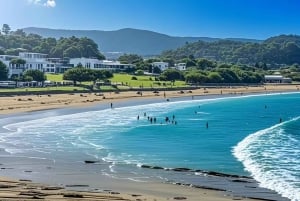 Melbourne: Great Ocean Road & 12 Apostles Luxury Coach Tour