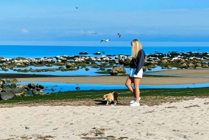 Melbourne: Great Ocean Road & 12 Apostles Luxury Coach Tour