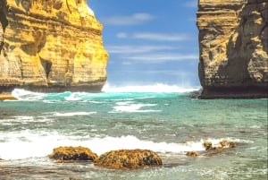 Von Melbourne aus: Great Ocean Road und Twelve Apostles Tour